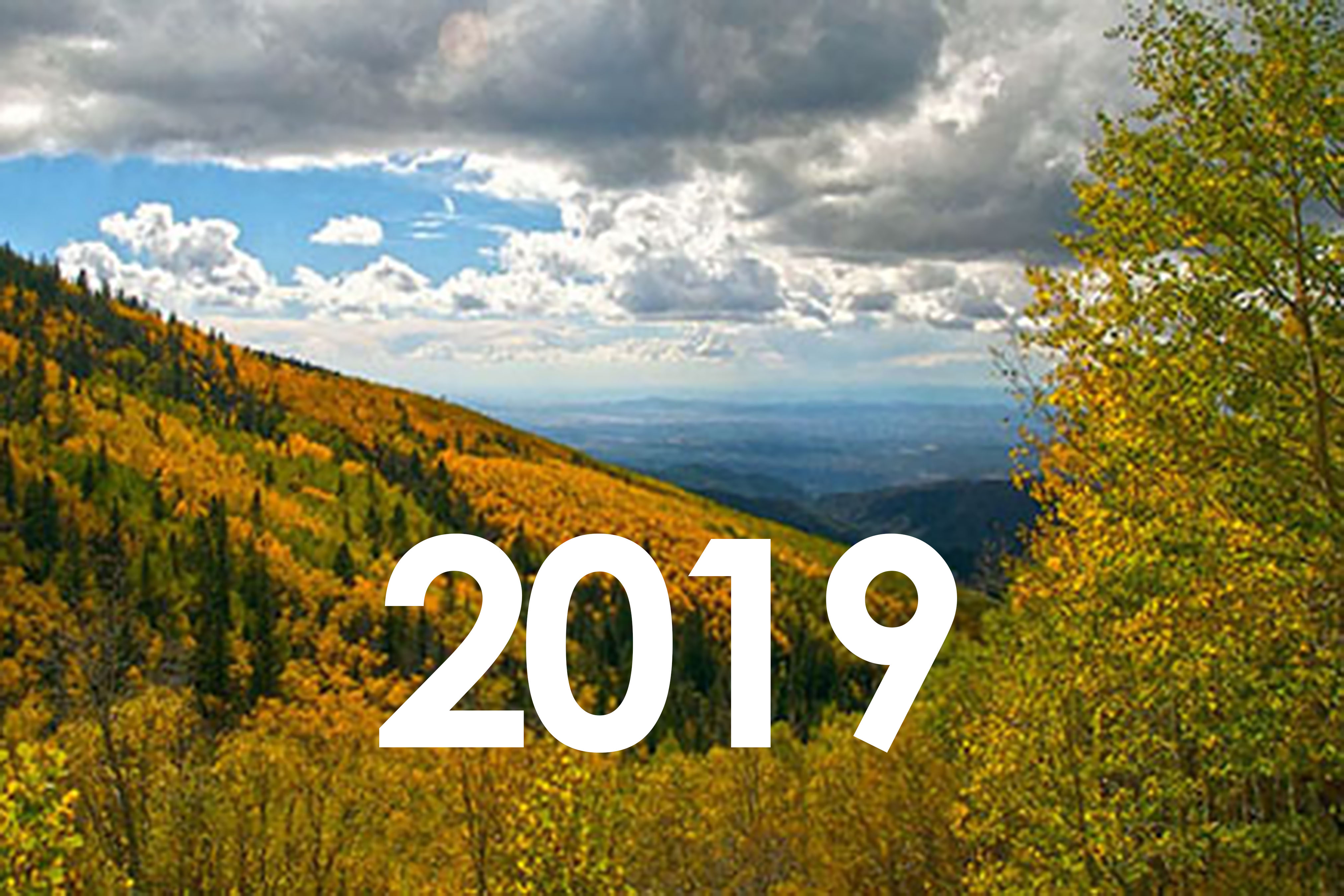 Resolution 2019